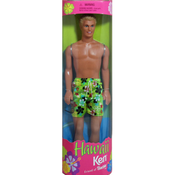 Hawaii Ken Doll