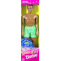 Barbie Sparkle Beach Steven Doll