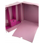 Barbie Doll Carry Case box