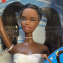 Star Splash™ Barbie® Doll (AA)