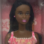 Sunshine Fun (AA) Barbie Doll