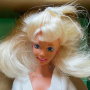 Palmer's Barbie (Fourth Edition) Barbie Doll