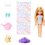 Rainbow Water Slide Set with Chelsea Doll and Puppy, Height 20 cm, Accessories Included