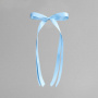 Barbie® Ribbon Sky Blue