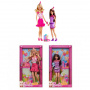 Barbie® Skipper® Assortment