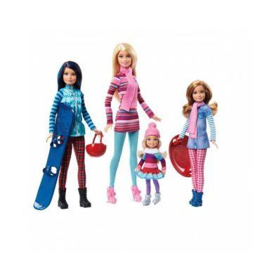 Barbie® Pink Passport™ Dolls & Accessories