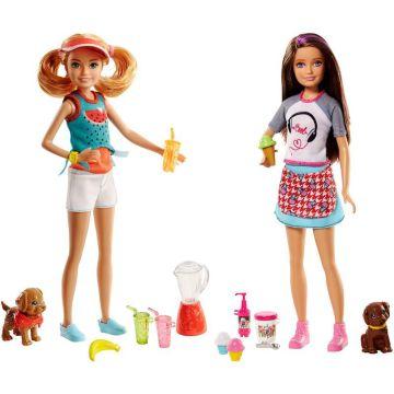 Barbie sisters and accessories Assortment
