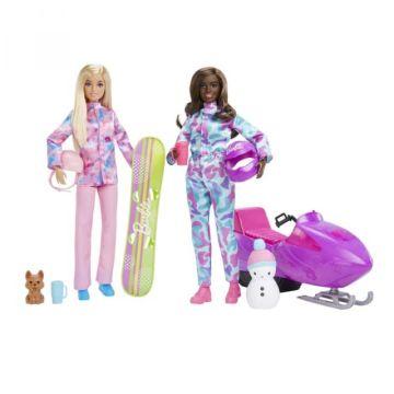 Barbie Winter Sports Playset With 2 Dolls & Accessories