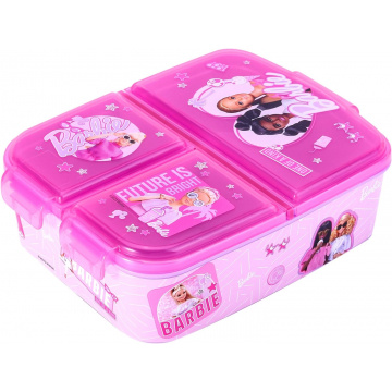 Zawadi Global Barbie Kids Rectangular Lunch Box with Multiple Compartments for School Travel Lunch Sandwich Bento Box BPA Free