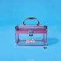 Barbie Makeup Train Case