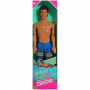 Barbie Splash 'n Color Ken Doll