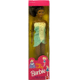 Fun-to-Dress Barbie Doll (AA)