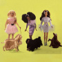 Barbie Glam 'n groom pets Asst.