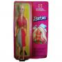 Superstar Standard EU Barbie Doll