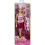 Barbie Doll and Fashion Dress Set