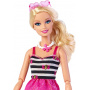 Barbie Doll and Accessories 2014