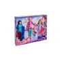 Barbie® Pink Passport™ Dolls & Accessories