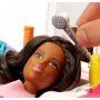 Barbie Doll and Salon (AA)