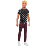 Barbie Fashionistas Black & White Ken Doll (Original)