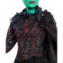 Wicked Elphaba Barbie® Doll