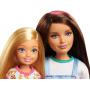 Barbie® Doll and Accessories