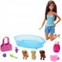 Barbie Pets and Accessories - Brunette