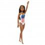 Barbie® Doll, Brunette, in Swimsuit with US Flag