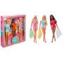 Malibu Barbie® Gift Set