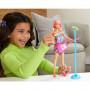 Barbie Big City, Big Dreams™ Singing Barbie® “Malibu” Roberts Doll