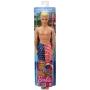 Barbie® Beach Ken