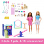 Deluxe Barbie Pet Daycare 2 dolls, 1 Playset, 4 Dogs, 3 Cats, 21 accessories