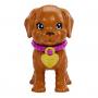 Barbie Doll And Accessories Pup Adoption Playset With Doll, 2 Puppies And Color-Change