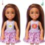 Barbie Chelsea Dolls And Accessories, Color Reveal Doll, Picnic Series Assortment