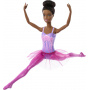 Barbie Articulated Ballet Dancer Doll with Tutu and Bow Asst. (AA)