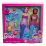 Barbie Mermaid Dolls 2-Pack With Sea Animals, Headbands & Ocean Accessories