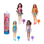 Rainbow Series Barbie Color Reveal DL 4