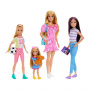 Barbie Sister Doll Set With Clothes & Accessories, Includes Barbie, Skipper, Stacie, & Chelsea