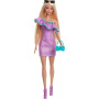 Barbie Doll and Accessories