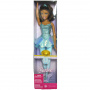 Ballerina Barbie Doll (blue)
