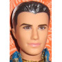 Ken in India Doll
