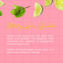 Minty Lime Sparkle Sparkling Tea (330ml)