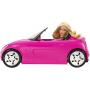 Barbie Doll/Convertible
