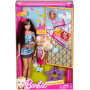 Barbie® Sister 2 Pack (Skipper® & Chelsea®)